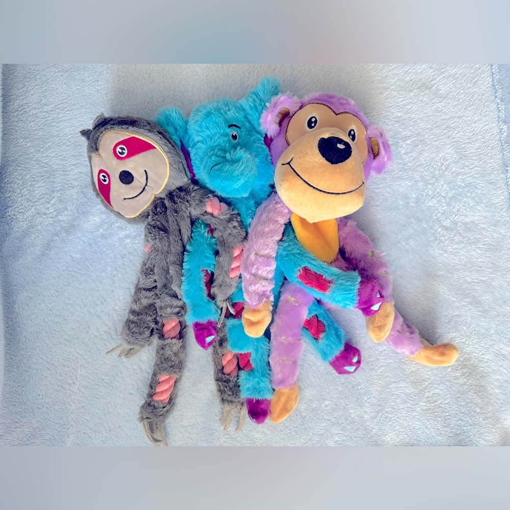 Dog Squeaky Toys